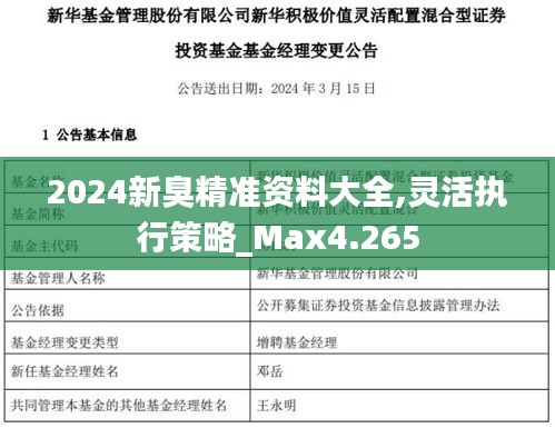 2024新臭精準資料大全,靈活執行策略_Max4.265