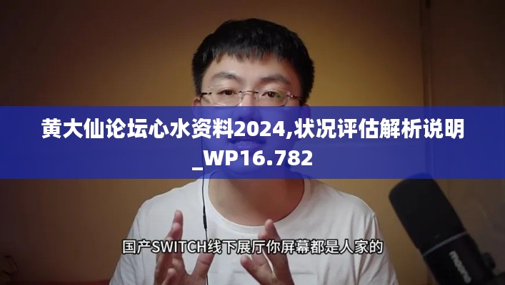 黃大仙論壇心水資料2024,狀況評估解析說明_WP16.782
