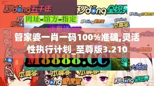 管家婆一肖一碼100%準確,靈活性執行計劃_至尊版3.210
