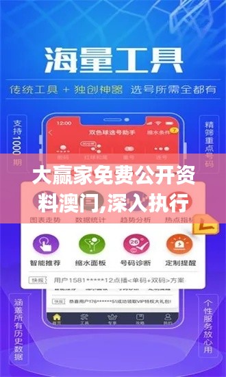 大贏家免費公開資料澳門,深入執行方案設計_V3.665