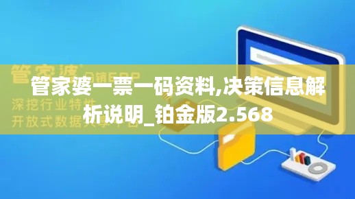 管家婆一票一碼資料,決策信息解析說明_鉑金版2.568