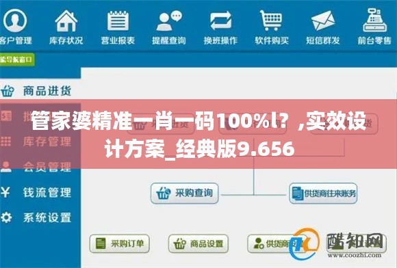 管家婆精準一肖一碼100%l？,實效設計方案_經典版9.656
