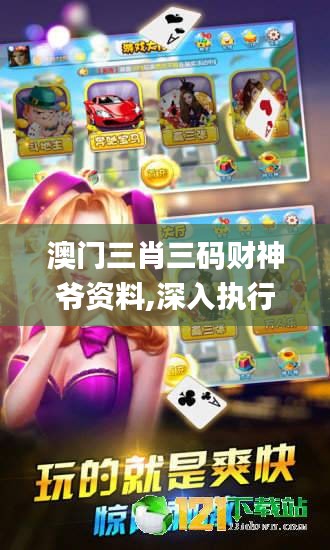 澳門三肖三碼財神爺資料,深入執行數據應用_XE版3.321