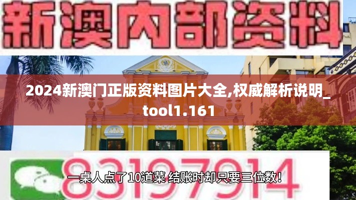 2024新澳門正版資料圖片大全,權威解析說明_tool1.161