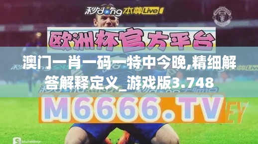 澳門一肖一碼一特中今晚,精細解答解釋定義_游戲版3.748