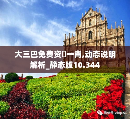 大三巴免費(fèi)資枓一肖,動(dòng)態(tài)說明解析_靜態(tài)版10.344
