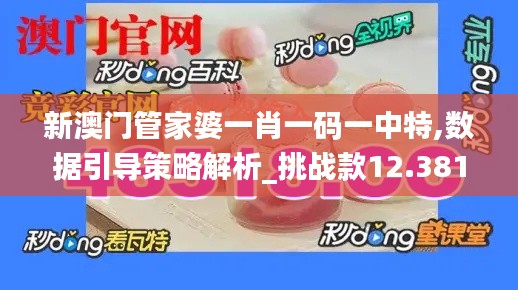 新澳門管家婆一肖一碼一中特,數據引導策略解析_挑戰款12.381