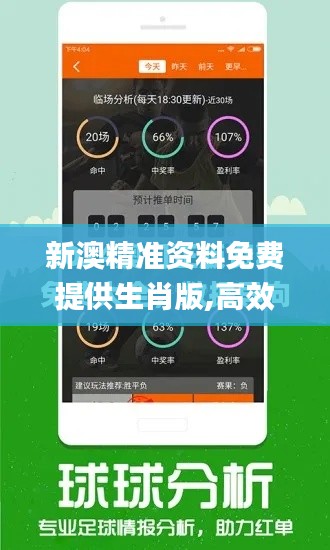 新澳精準資料免費提供生肖版,高效計劃設(shè)計_bundle6.378