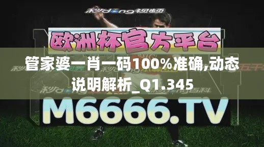 管家婆一肖一碼100%準確,動態說明解析_Q1.345