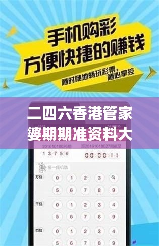 二四六香港管家婆期期準資料大全,適用實施計劃_U3.656