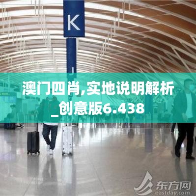 澳門四肖,實地說明解析_創意版6.438