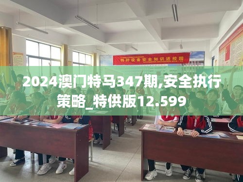 2024澳門特馬347期,安全執行策略_特供版12.599