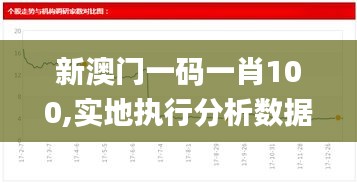 新澳門一碼一肖100,實地執行分析數據_DX版4.639
