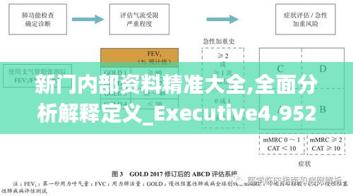 新門內部資料精準大全,全面分析解釋定義_Executive4.952