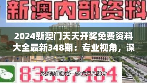 2024新澳門天天開獎免費資料大全最新348期：專業視角，深度分析每一天
