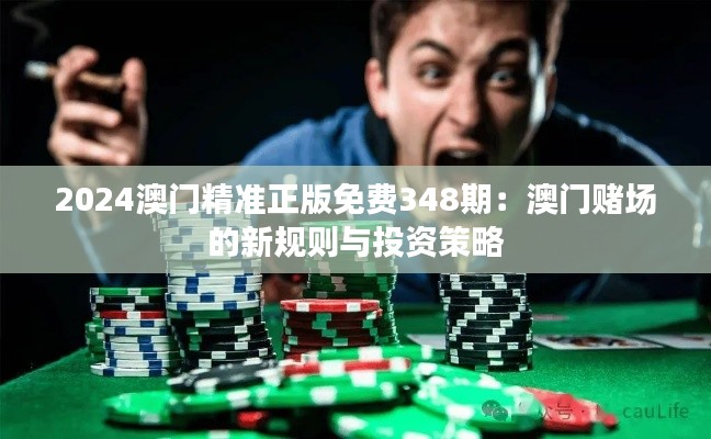 2024澳門精準正版免費348期：澳門賭場的新規則與投資策略