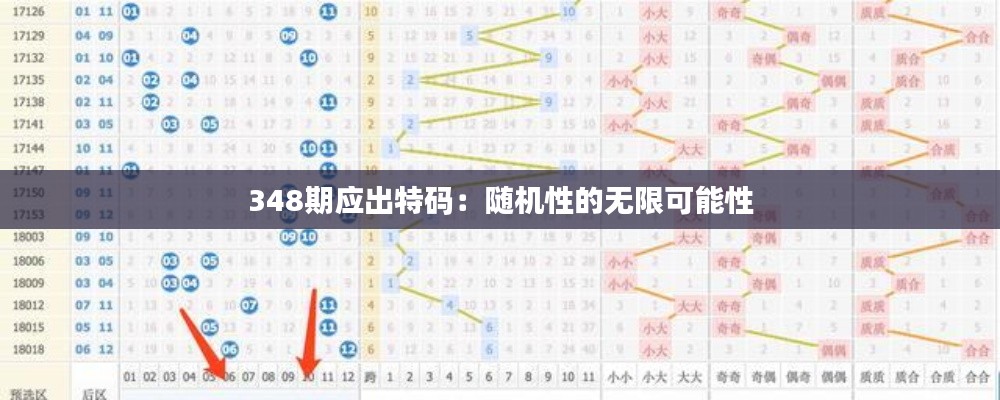 348期應出特碼：隨機性的無限可能性