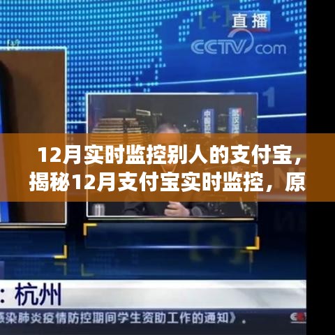 揭秘支付寶實時監控，原理、應用與注意事項（12月專版）