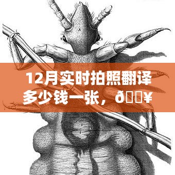 揭秘，實(shí)時(shí)拍照翻譯技術(shù)的價(jià)格與魅力，12月拍照翻譯新紀(jì)元開啟！