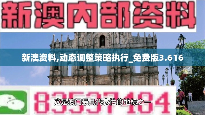 新澳資料,動態(tài)調(diào)整策略執(zhí)行_免費版3.616
