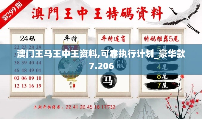 澳門王馬王中王資料,可靠執(zhí)行計(jì)劃_豪華款7.206
