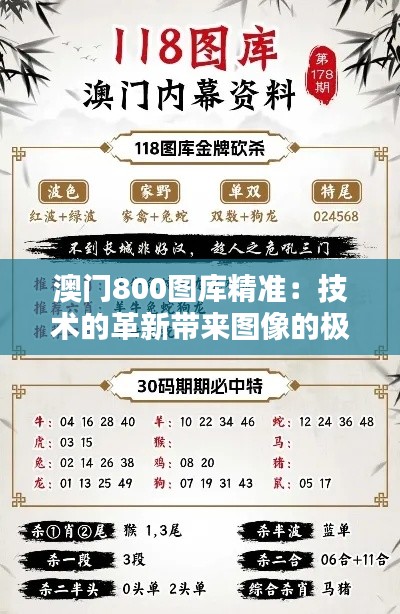 澳門800圖庫精準：技術的革新帶來圖像的極致