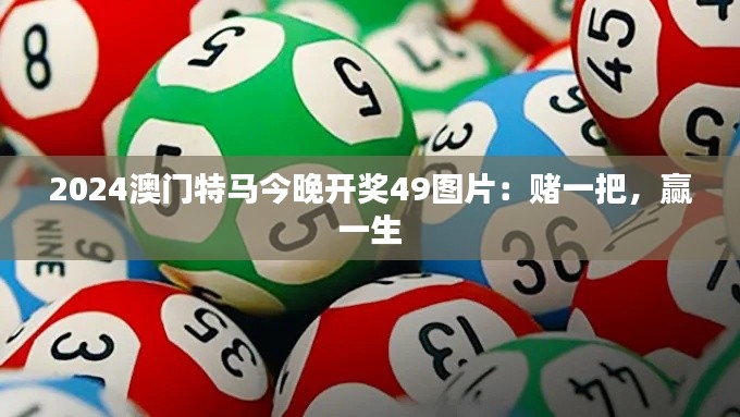 2024澳門特馬今晚開獎49圖片：賭一把，贏一生