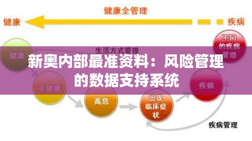 新奧內部最準資料：風險管理的數據支持系統
