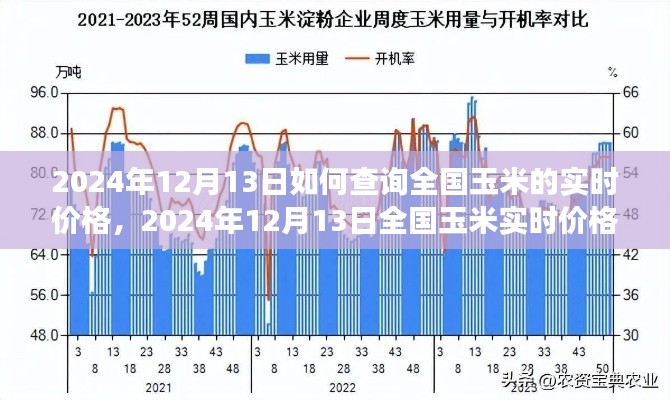 2024年12月13日全國玉米實時價格查詢攻略及市場走勢深度分析