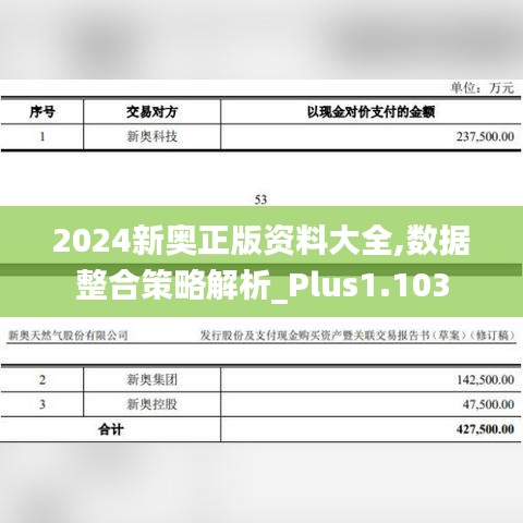 2024新奧正版資料大全,數據整合策略解析_Plus1.103