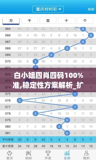 白小姐四肖四碼100%準,穩(wěn)定性方案解析_擴展版9.493