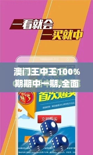 澳門王中王100%期期中一期,全面設計執行方案_進階版2.377