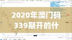 2020年澳門碼339期開(kāi)的什么,實(shí)時(shí)信息解析說(shuō)明_Phablet11.942