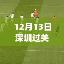深圳過關時間實時分析，聚焦12月13日的視角與觀點探討