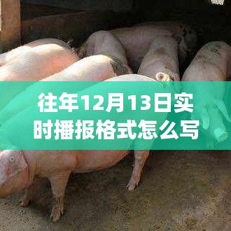 往年12月13日實時播報格式詳解及圖片展示與寫作指南