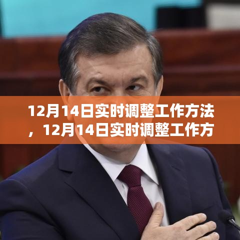 詳細步驟指南，如何在十二月十四日實時調整工作方法？
