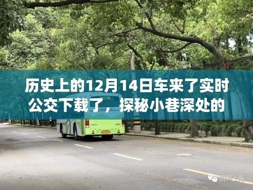 探秘歷史塵埃中的時(shí)光巴士，實(shí)時(shí)公交下載日，美食公交小店揭秘之旅