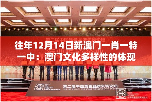 往年12月14日新澳門(mén)一肖一特一中：澳門(mén)文化多樣性的體現(xiàn)