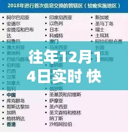 往年12月14日實時普通到賬操作指南，初學者與進階用戶適用指南