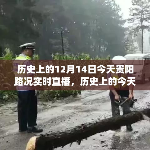 歷史上的今天與實時直播，貴陽路況見證變化的力量與自信之光