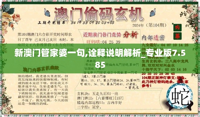 新澳門管家婆一句,詮釋說明解析_專業版7.585