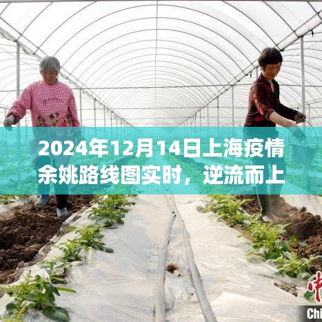 上海余姚抗疫之路與成長圖譜，逆流而上，實時追蹤疫情路線圖至未來展望