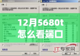 揭秘，如何監(jiān)控12月5680t服務(wù)器端口實(shí)時(shí)流量，掌握網(wǎng)絡(luò)動(dòng)向的實(shí)用攻略