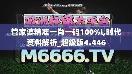 管家婆精準一肖一碼100%l,時代資料解析_超級版4.446