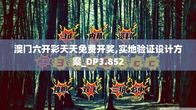 澳門六開彩天天免費開獎,實地驗證設計方案_DP3.852