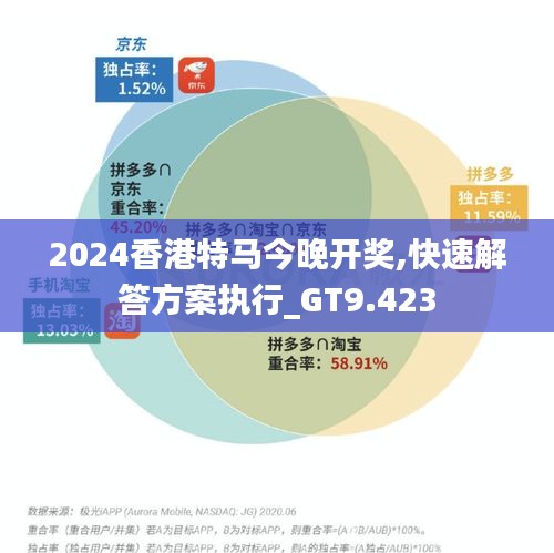 2024香港特馬今晚開獎,快速解答方案執行_GT9.423