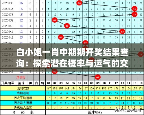 白小姐一肖中期期開獎結果查詢：探索潛在概率與運氣的交織