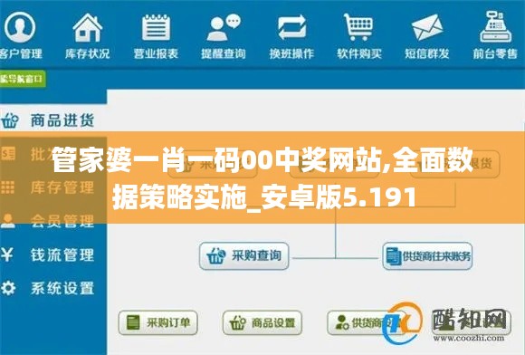 管家婆一肖一碼00中獎網站,全面數據策略實施_安卓版5.191