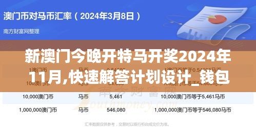 新澳門今晚開特馬開獎2024年11月,快速解答計劃設計_錢包版9.436