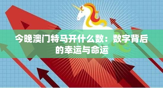 今晚澳門特馬開什么數：數字背后的幸運與命運